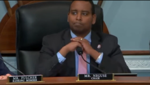 Mr. Neguse